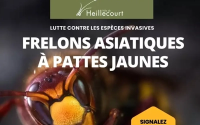 Réunion d’information Frelons asiatiques le 07 octobre à 18h30